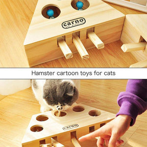 Cat Hunt Toy