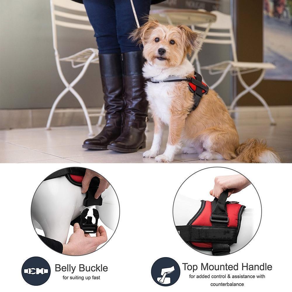 Reflective all-in-one No Pull Dog Harness