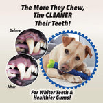 Dog Chewbrush Toothbrush | Teeth Cleaning Toy