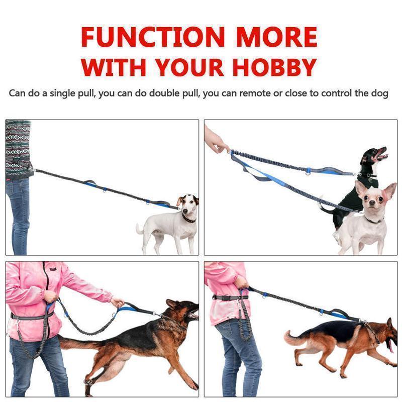 Handsfree Elastic Bungee Dog Leash